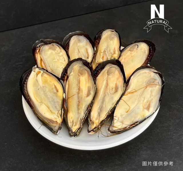 淡菜 MUSSEL