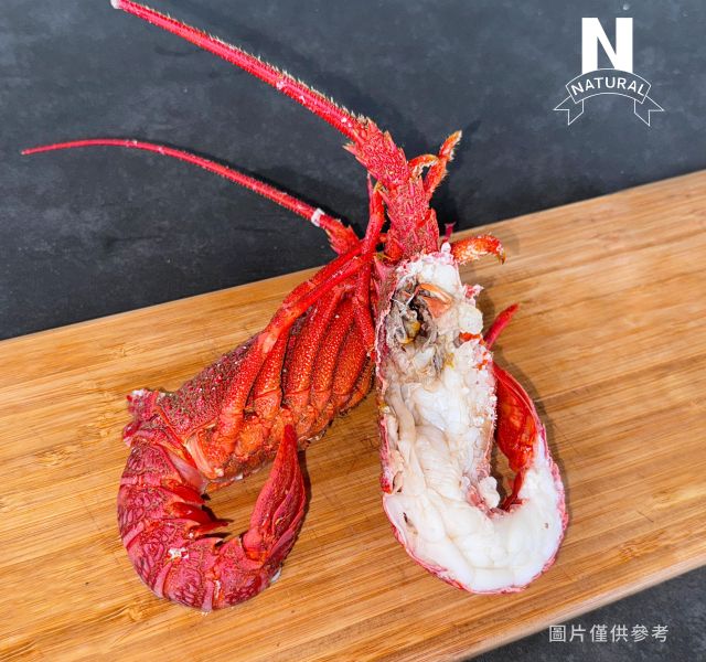 生/熟龍蝦 RAW/COOKED LOBSTER