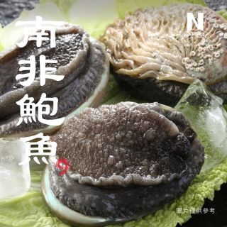 南非鮑魚-01