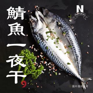 鯖魚片-06