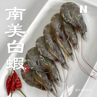 (南美)白蝦-01