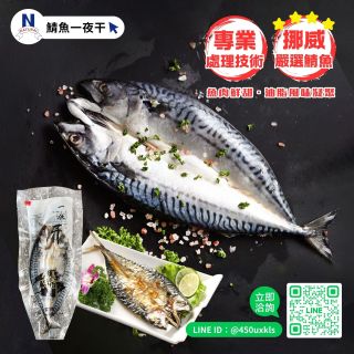 鯖魚一夜干