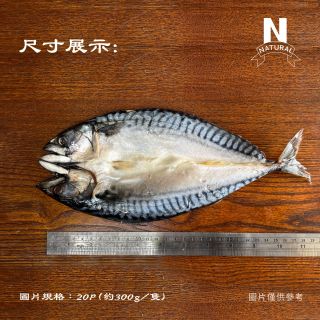 魚｜鯖魚／一夜干ys