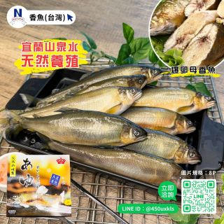 香魚-04