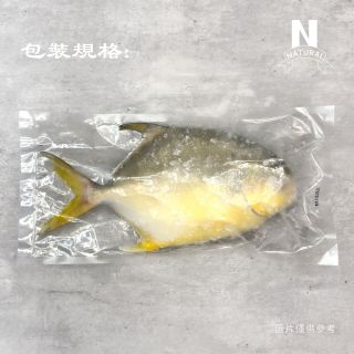 魚｜白鯧／金鯧