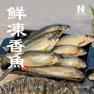 香魚-01