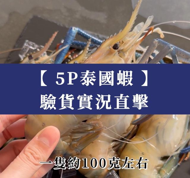 不輸釣蝦場！超肥超鮮5P泰國蝦